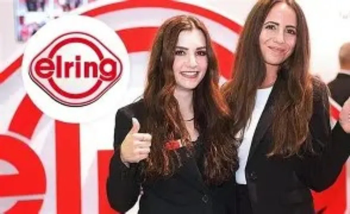 Elring 537.890 Dichtungssatz, Ansaugkrümmer (Menge: 1 Stk)